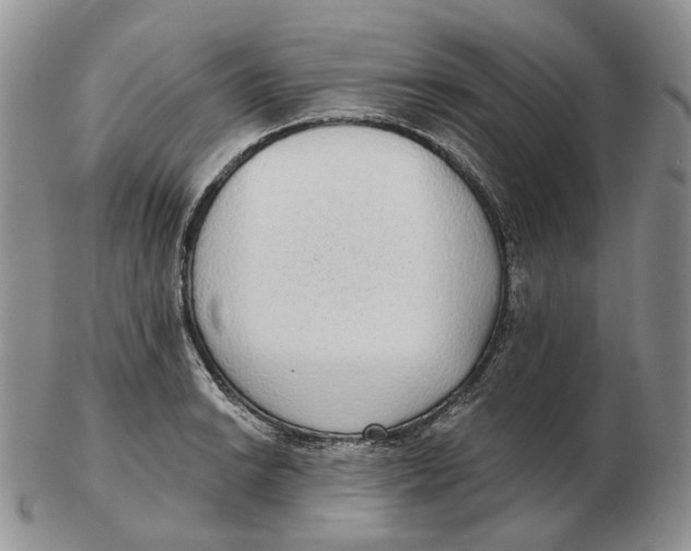 X0000103151038200809121812