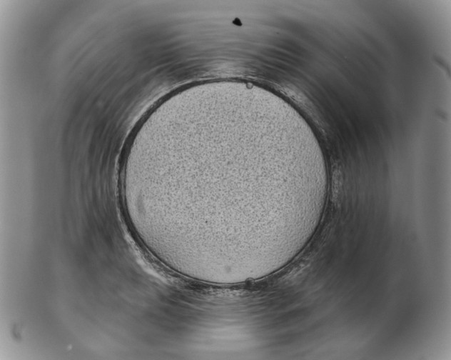 X0000103151039200809121812