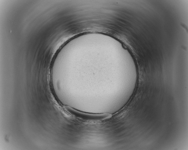 X0000103151040200809121812