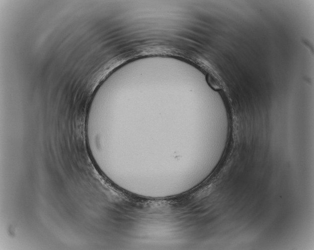 X0000103151041200809121812