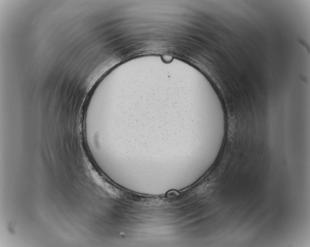 X0000103151042200809121812