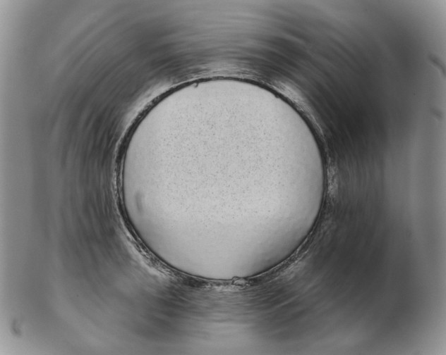 X0000103151043200809121812