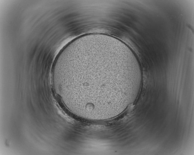 X0000103151044200809121812