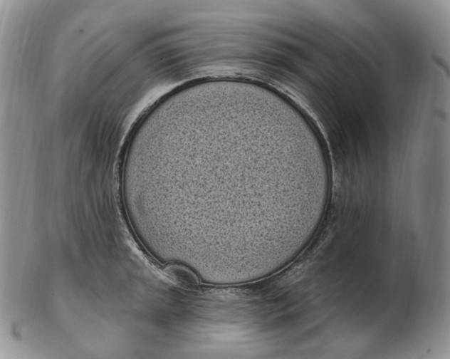 X0000103151045200809121812