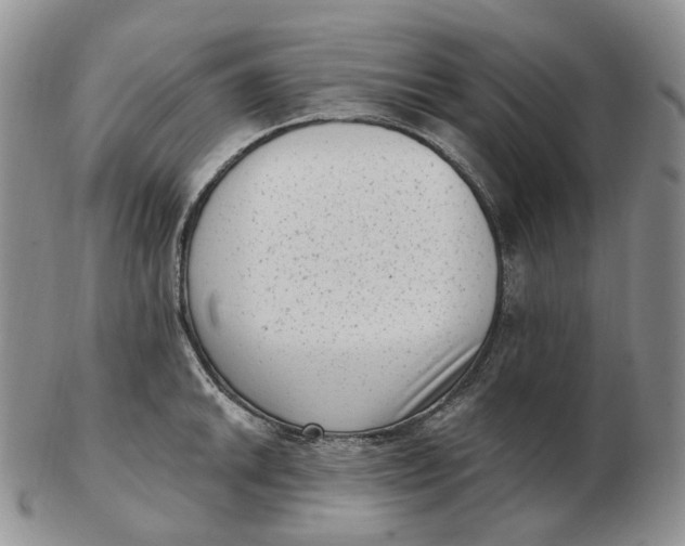 X0000103151046200809121812