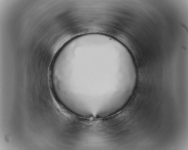 X0000103151047200809121812