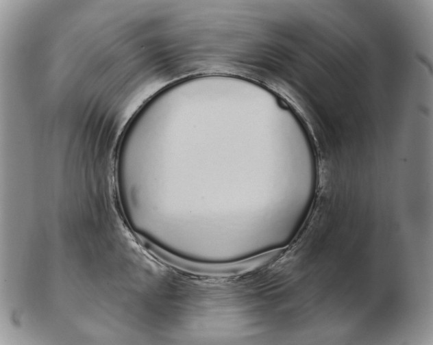 X0000103151048200809121812