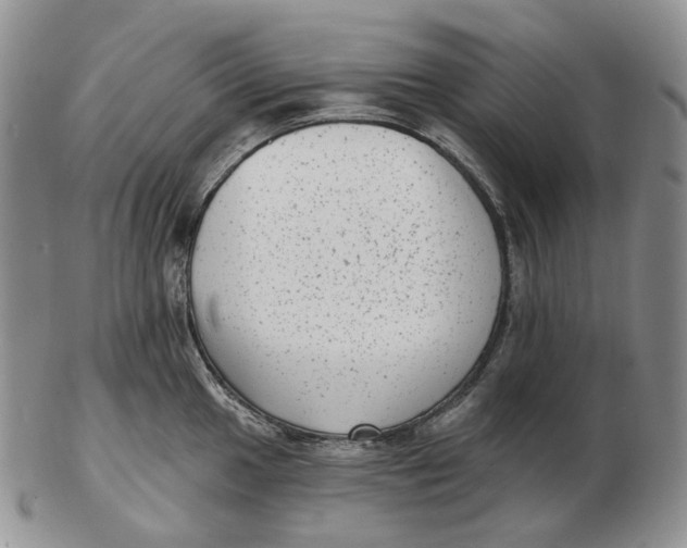 X0000103151049200809121812