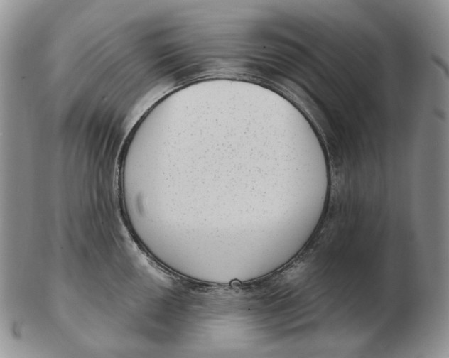 X0000103151050200809121812