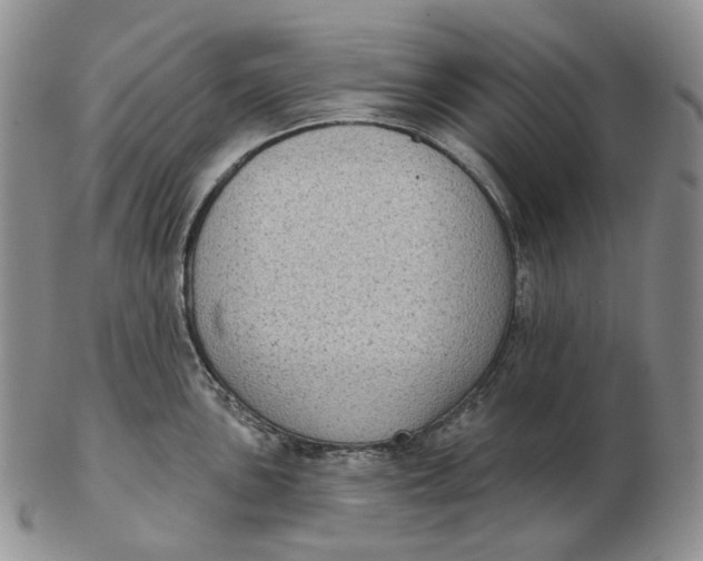 X0000103151051200809121812