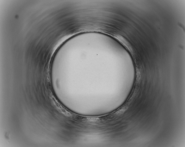 X0000103151052200809121812