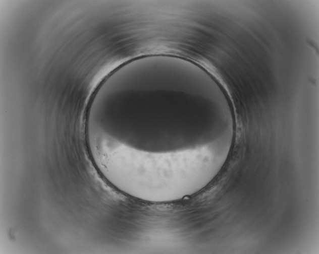 X0000103151053200809121812