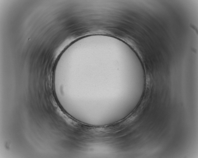 X0000103151054200809121812