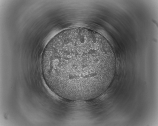 X0000103151055200809121812