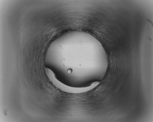 X0000103151057200809121811