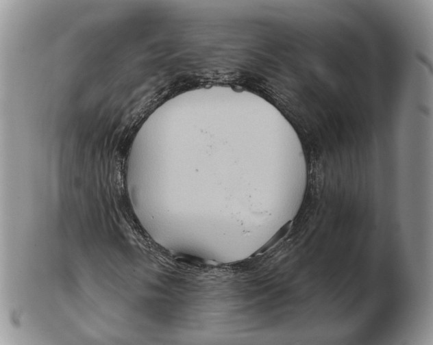 X0000103151058200809121811