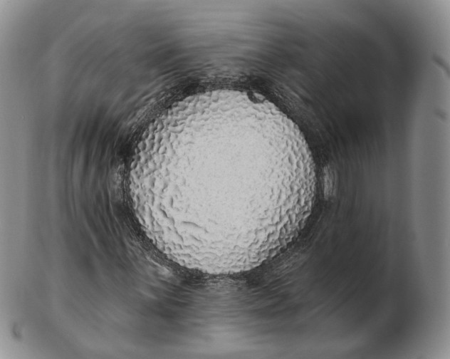 X0000103151059200809121811