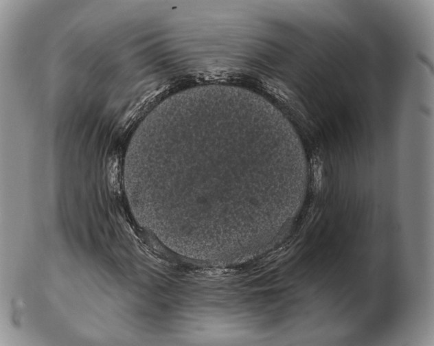 X0000103151060200809121811