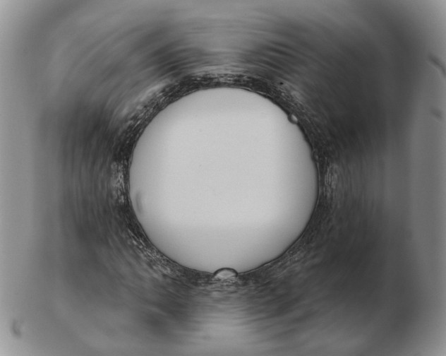 X0000103151062200809121811