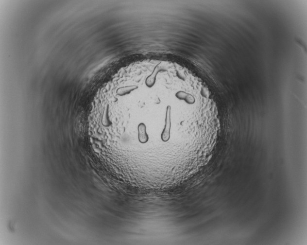 X0000103151063200809121811