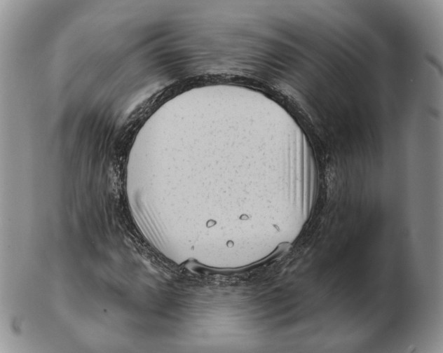 X0000103151064200809121811