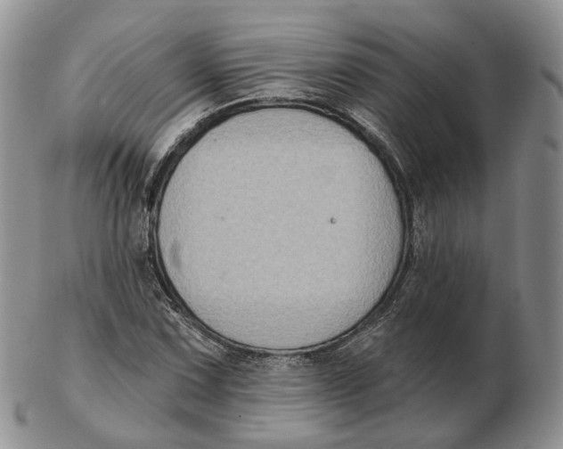 X0000103151067200809121811