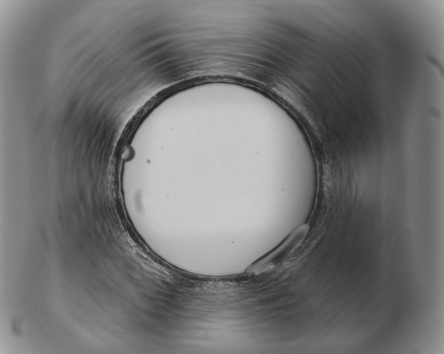 X0000103151068200809121811