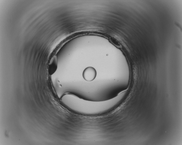 X0000103151069200809121811