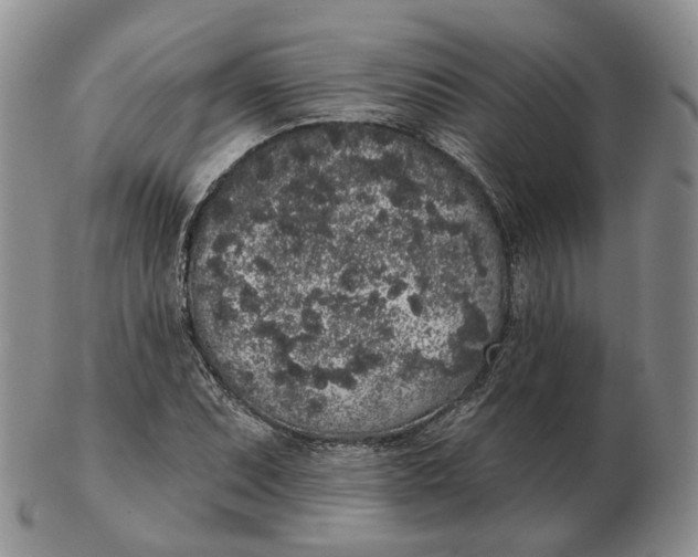 X0000103151071200809121811