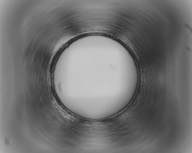 X0000103151072200809121811