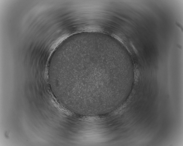 X0000103151074200809121811