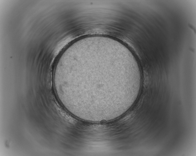 X0000103151075200809121811