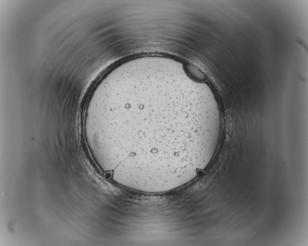 X0000103151076200809121811