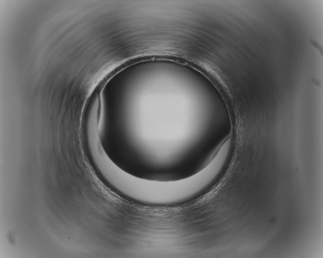 X0000103151077200809121811