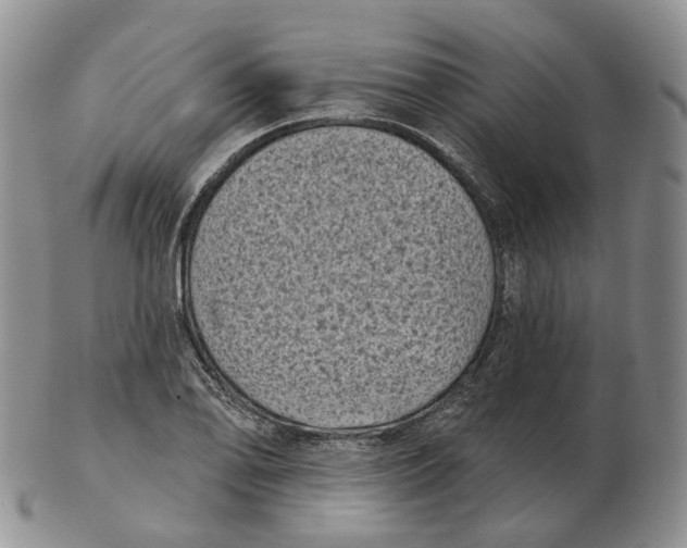 X0000103151078200809121811