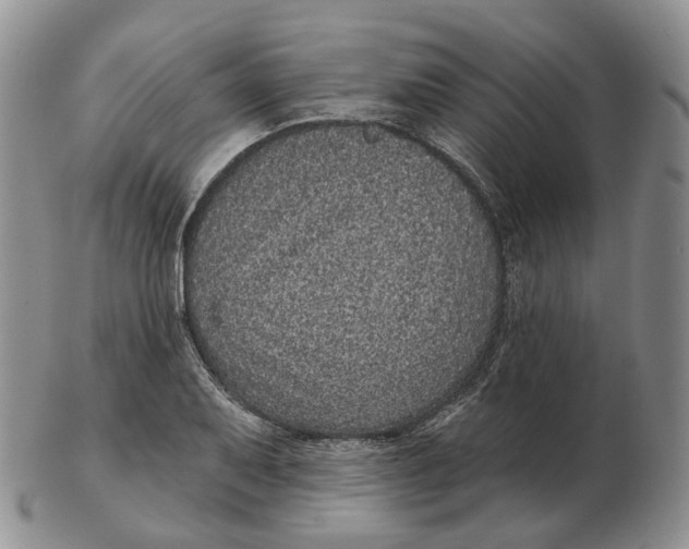 X0000103151079200809121811