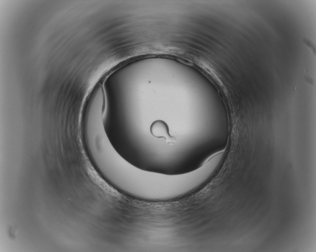 X0000103151080200809121811