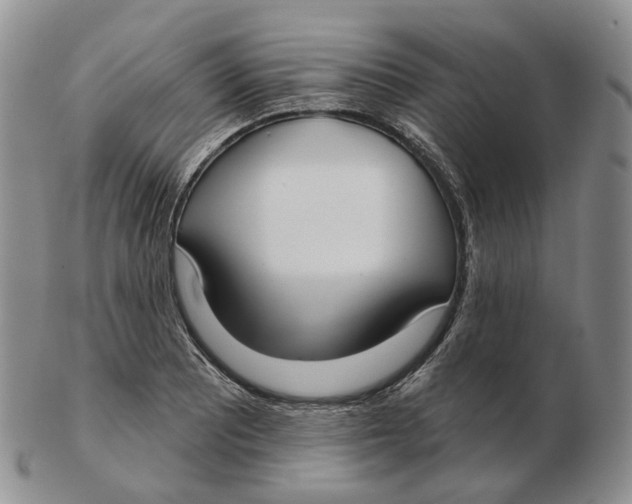 X0000103151081200809121811