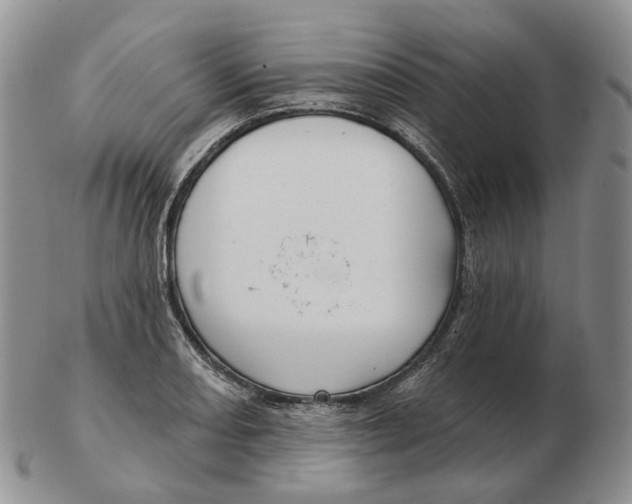 X0000103151082200809121811