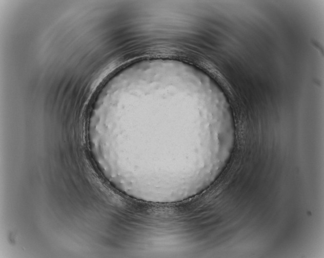 X0000103151083200809121811