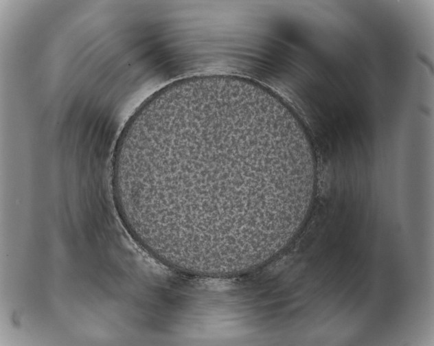 X0000103151086200809121811