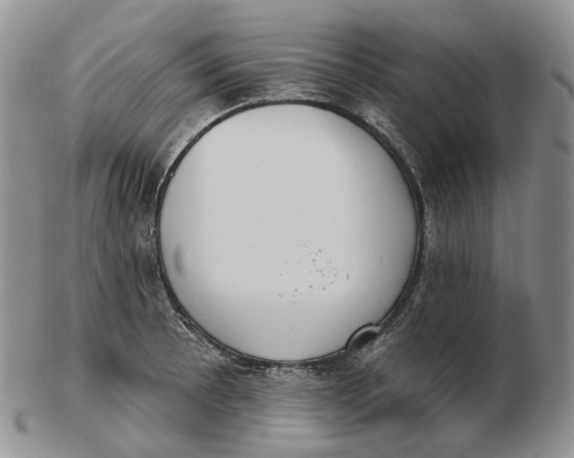 X0000103151089200809121811