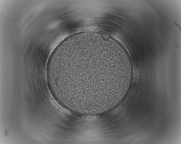 X0000103151090200809121811