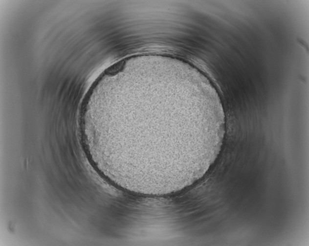 X0000103151091200809121811