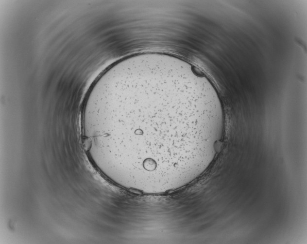 X0000103151092200809121811