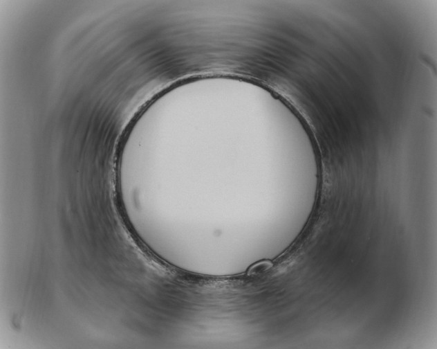 X0000103151093200809121811