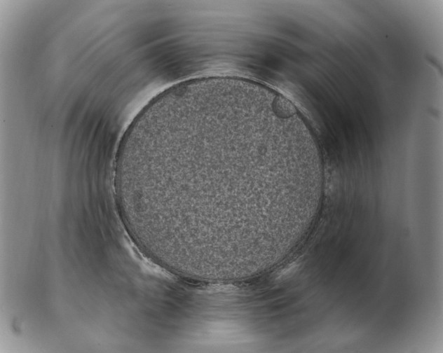 X0000103151094200809121811