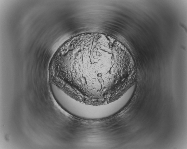 X0000103151095200809121811