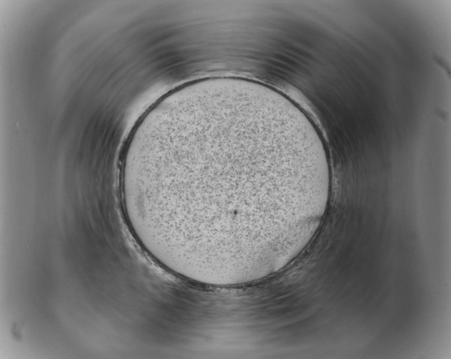 X0000103151096200809121811