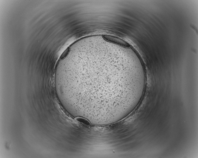 X0000103151097200809121811